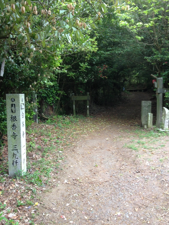 二日前にこの道を下ってきました。今日は打ち戻り、登ります！