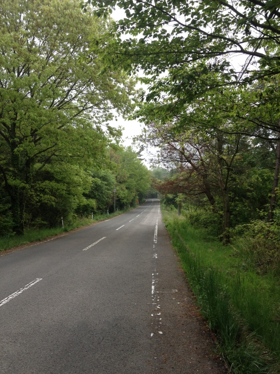 暗い山道を小走りで通過し、やっと車道に出ました。こんな感じの車道をしばらく歩きます。