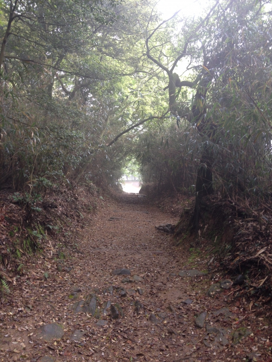 そして再び山道に突入！この最後の山道は下りです。足元がやや悪いので雨の日は転ばないよう、注意です。