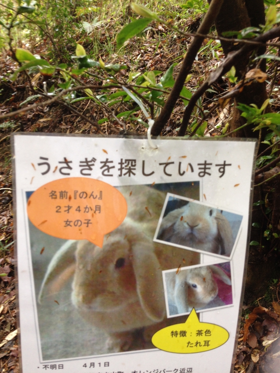 根香寺を出て直ぐの山道で、とても心配なポスター。うさぎは小心者だから、きっとどこかで怯えているんだろう。飼い主さんの元に帰って欲しい。
