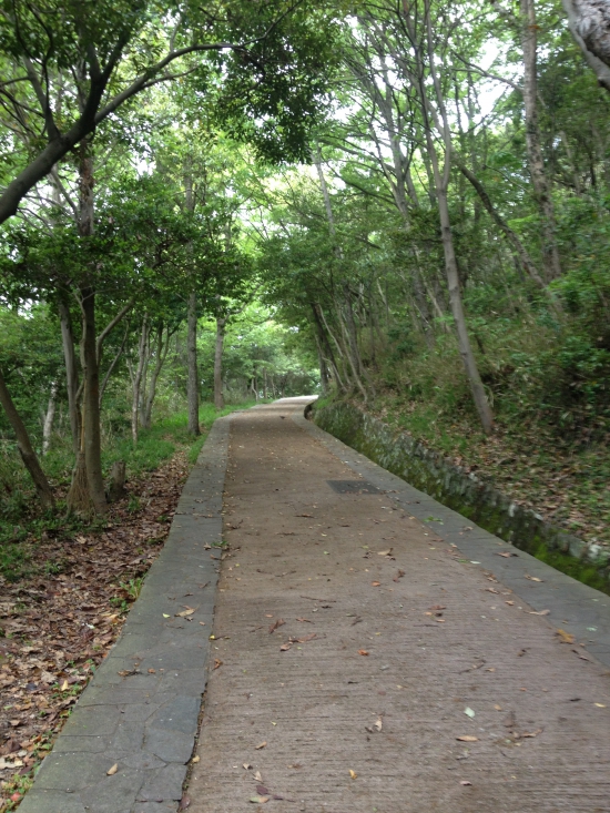 屋島寺に向かう上り坂。別名、毛虫坂。