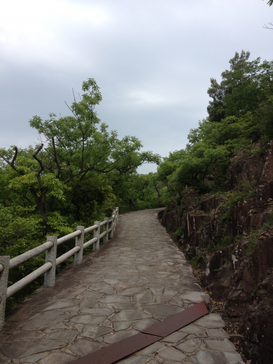 毛虫坂を進むと、やがて視界が開けてきます。景色は最高でした。