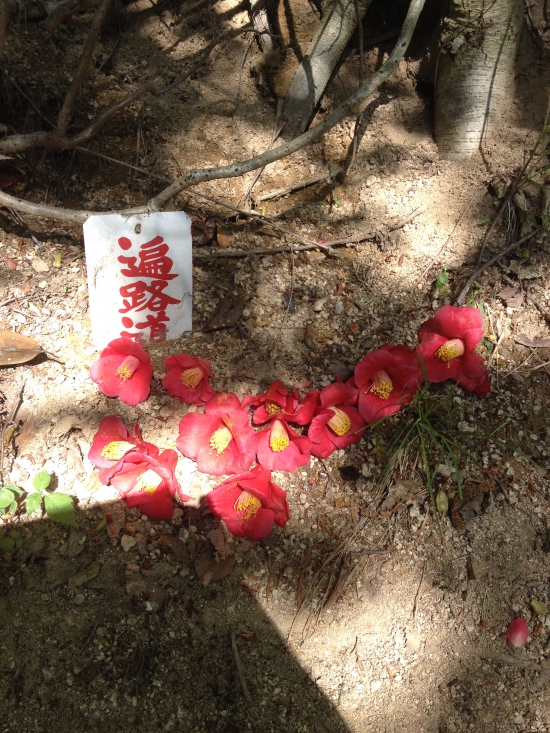 女体山の遍路道にて。椿の花が迎えてくれました。