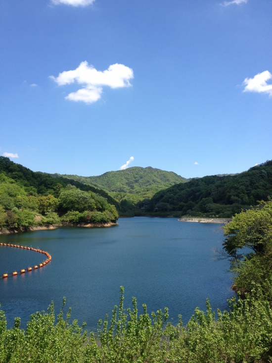 ダムが左手に見えたら、交流サロンまであと少し。雲がすっかり消え、カラカラの晴天になりました。ダムの水面がキラキラしています。