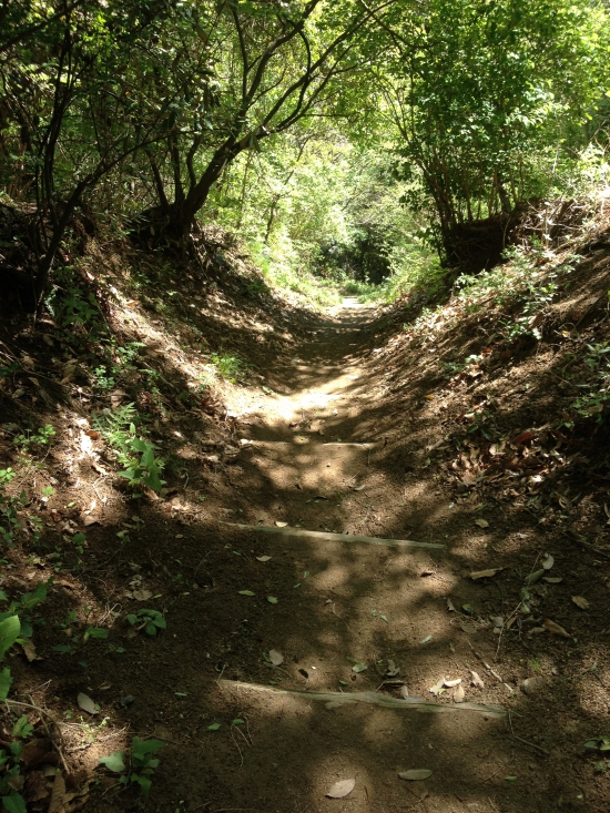 はい、また登りです。頑張って！