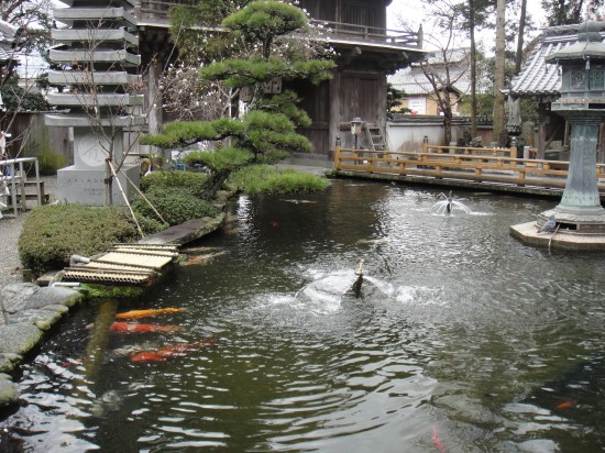 池がきれいでした