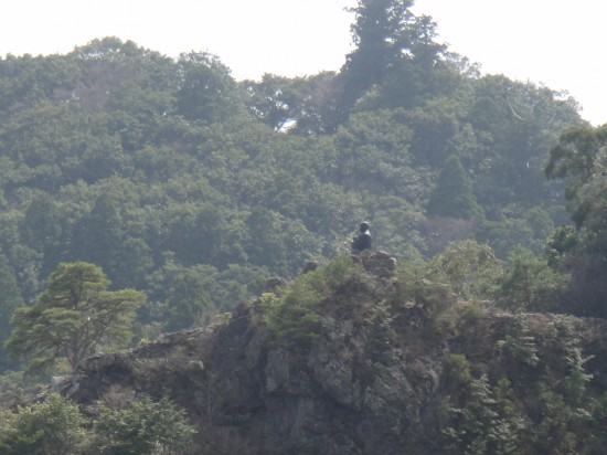 岩山で修行中の弘法大師像・ロープウェイから