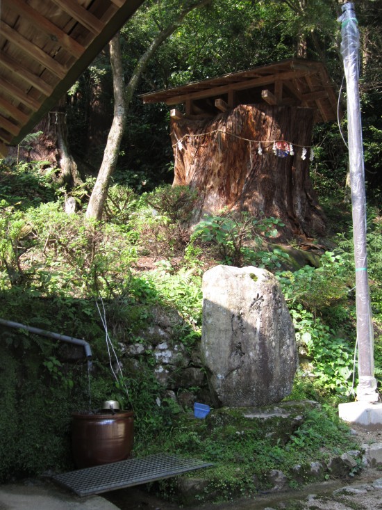 観音様が降りてきた。木だそうで、ここの湧き水を飲むと、子宝に恵まれるそうです。当然飲みました！んがまず嫁さん