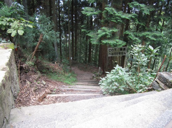 「ふ~。疲れた険しい山道だった。さすが遍路転がしだけはある。」ってか、あなた車で来たでしょ(^^；