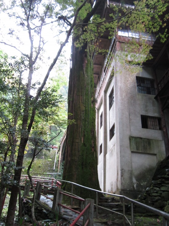 なんじゃこれ~。お寺か~って雰囲気と雨が降りそうなのか。不思議な感じでした。