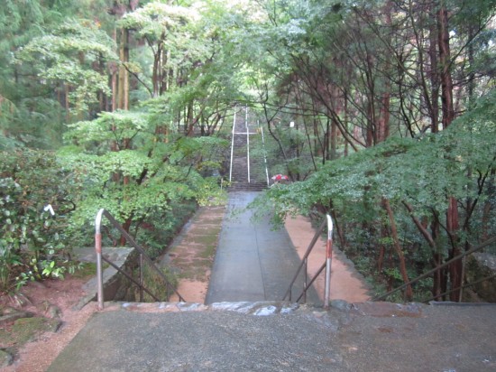 山門くぐると、記憶に新しい風景。たしかここは、本堂が印象的だった札所。