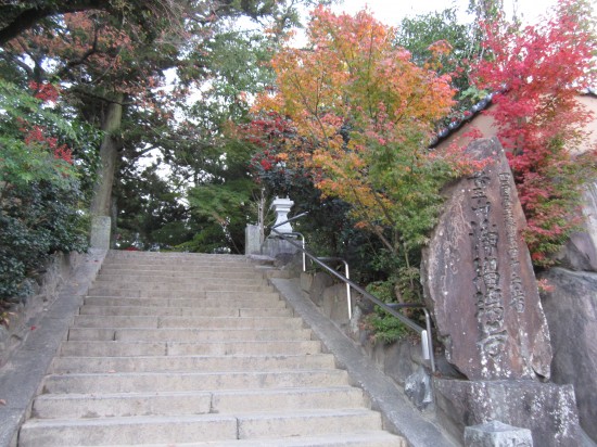 いい感じで紅葉してます。天気も良好！さーいくぞ