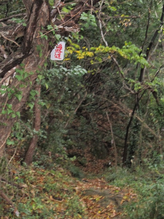 雨のやんでるうちに一気にいくぞ！