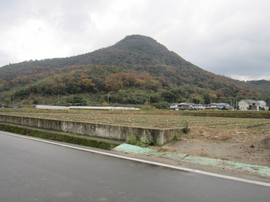 雨もやんだし目指せ74番！