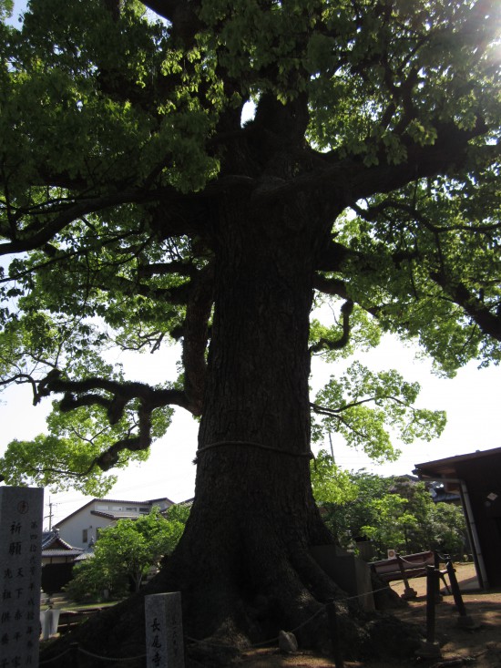 長尾寺です。大窪寺から長尾寺に行くまでに結構歩き遍路さんがいらっしゃいました。1人の方に「歩きですか？」っと聞かれて嘘はつけないので「すんません車です。。」っと