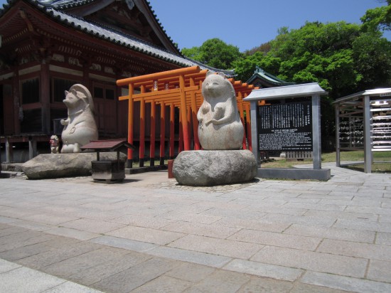 12時半には、屋島まで戻ってこれました。