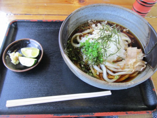 「薬王寺」まで移動。駐車場横のうどん屋で夕食を。厄除けうどんは、効果だったので次回のお楽しみ。