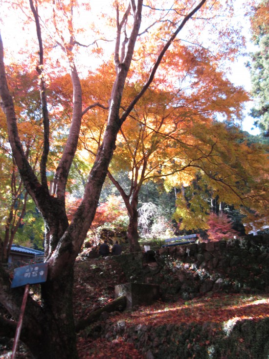 「明石寺」到着