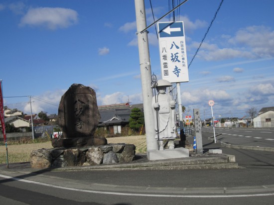 まだ、脚力はあり。しかし寒い。。