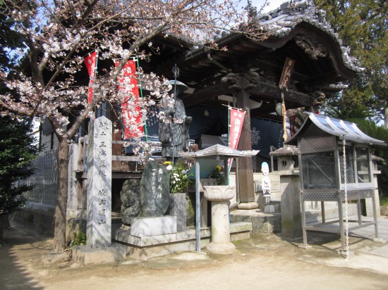 桜がきれい~。天気もいいし。「ぼ~」っと開いた口が塞がらない。