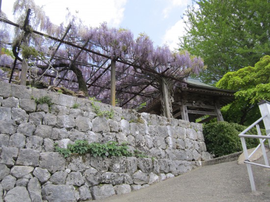 奥の院「慈眼寺」です。今回で３回目でしたが奥の院納経としては初の参拝。ふじの花が満開できれいでした。