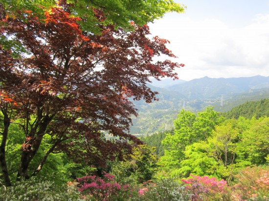 中間地点より。