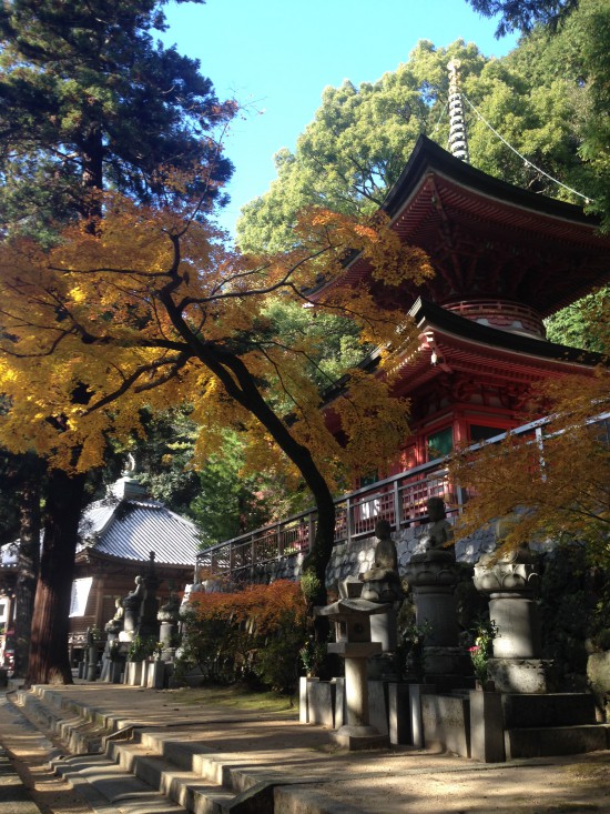 今回のベストショット「八栗寺」より