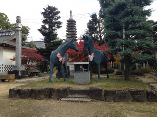 来年は、年男？？「本山寺」