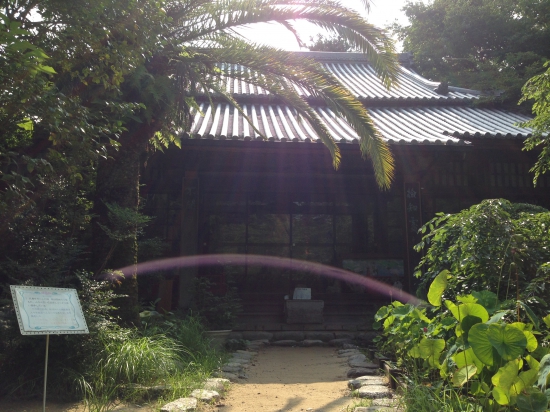 朝のお勤めに本坊へ。やっぱり「石手寺」はすごい。一番好きなお寺です。