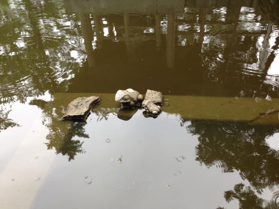 まだ何とか１札所は打てると思いもう一寺。雨が降っていたので目にとまり撮影(^^；さて問題です。ここはどこでしょう？かなり難易度は高いです。