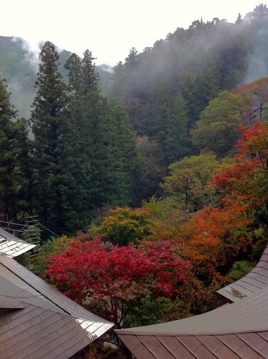 44番岩屋寺法華仙人堂から