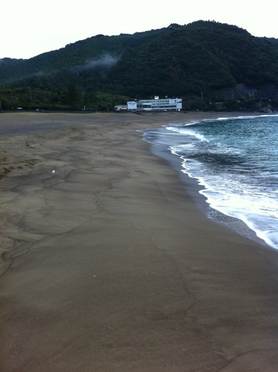 海亀の産卵地、大浜海岸。薬王寺からすぐです。