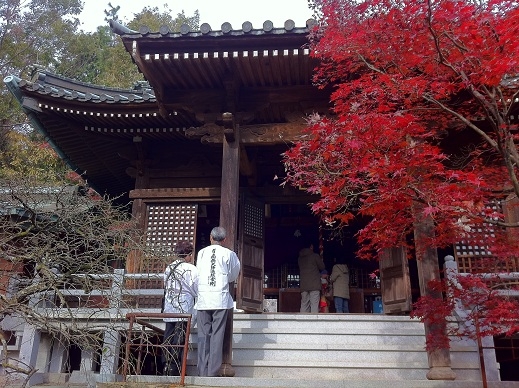 根香寺の本堂、モミジが紅い。