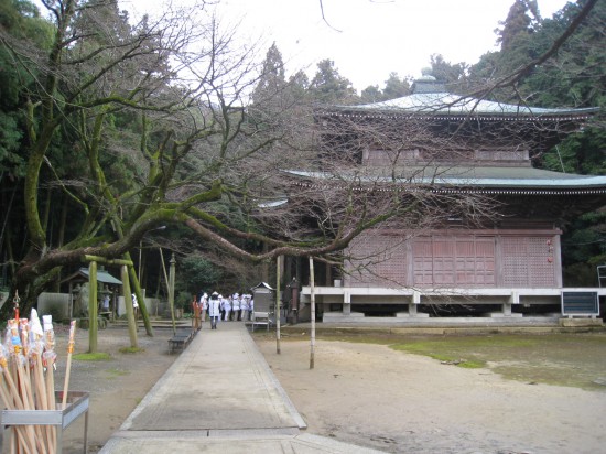 桜が咲いたらきれいだろうな