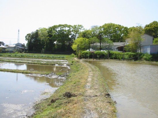 ここも遍路道。当日は、晴れで気分よく歩きましたが、雨の日は注意が必要かも。