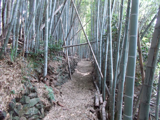 「弦巻坂」の遍路道。源義経軍は、釈迦庵から恩山寺に登る坂の向こうに敵兵がいないことを知り、動きやすく弓の弦を巻かしたので弦巻坂という。