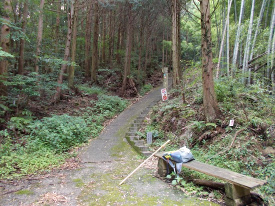 ７：４０頃の登山道。まだ、涼しく気持ちの良い登り道であった。