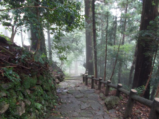 ９：２０太龍寺に向け、鶴林寺から下山を始める。