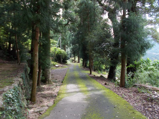 １０：１０頃の遍路道。近くには神社もあり、山里が近いことが分かる。爽快な気分で歩く遍路道である。