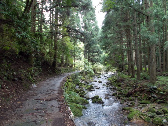 渓流に沿って歩く遍路道。真夏なのに、鶯の声も聞こえ、清々しい山歩きとなった。