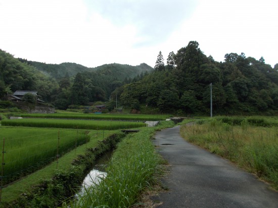 里山の遍路道を歩く。空気も涼しく気持ちがよい。