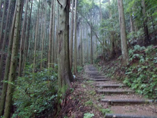 里山の風景から山越えをして平等寺に向かう。