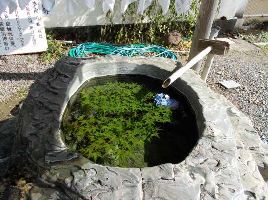 水屋には、楓（たぶん）が浮かべられ、涼しさを醸し出す。これも、有難いおもてなしとおもう。