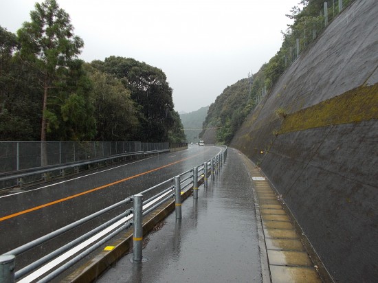 国道５５号線を歩く。雨が降り出した。