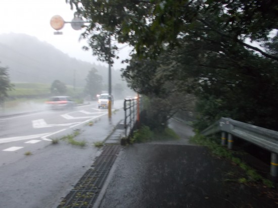 雨脚は強くなる一方である。雷鳴に怯えるということは、まだ、人生に未練があるらしい。よく考えれば、音や光が分かるうちは生きている証拠、自分に落ちれば一瞬の出来事である。