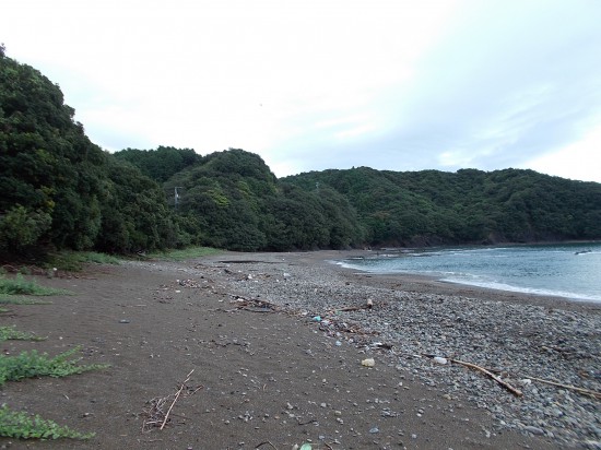 ８：４０頃、海岸を歩く遍路道。