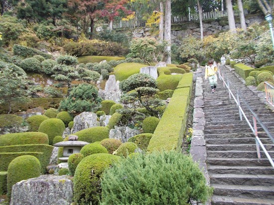 仁王門をくぐり、綺麗に手入れされた庭園を横に見ながら本堂に向かう。