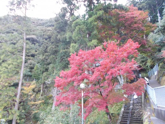 紅葉に彩られた境内