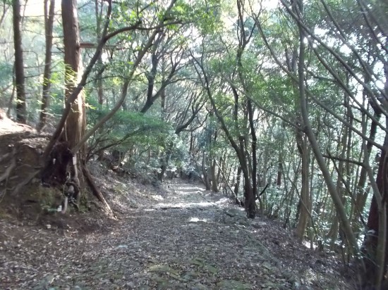 9:00頃、五台山を下る。