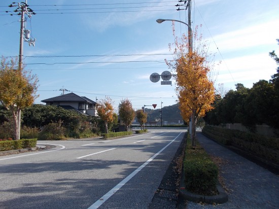 ベットタウンと思われる市街地を歩く。